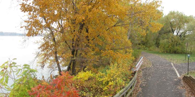 Niagara Falls State Park Riverway -Robert Moses Parkway South Segment