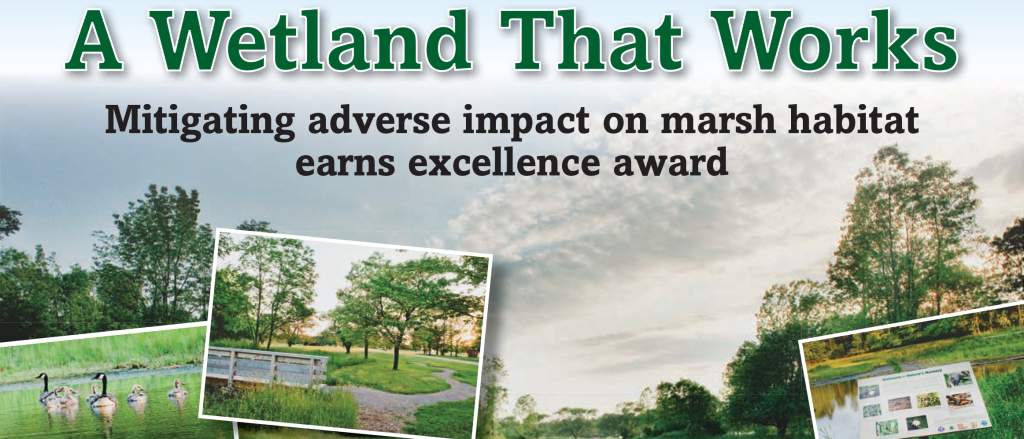 Watts Wetlands Project in August Edition of Parks & Rec Magazine